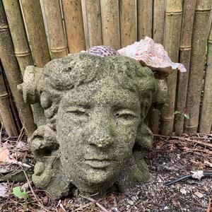 Meet your Posher, Louise